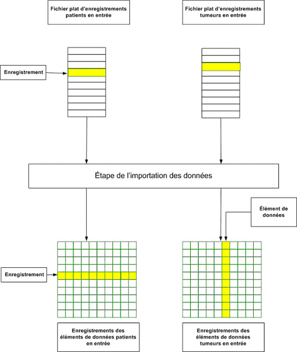 3.2 Importation des données